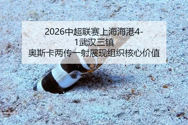zhong-chao-lian-sai-shang-hai-hai-gang-wu-han-san-zhen-ao-si-ka-liang-chuan-yi-she-zhan-xian-zu-zhi-he-xin-jia-zhi-3-886.jpg