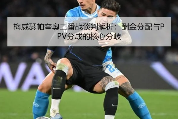 mei-wei-se-pa-kui-ao-er-fan-zhan-tan-pan-jie-xi-chou-jin-fen-pei-yu-fen-cheng-de-he-xin-fen-qi-2-458.jpg